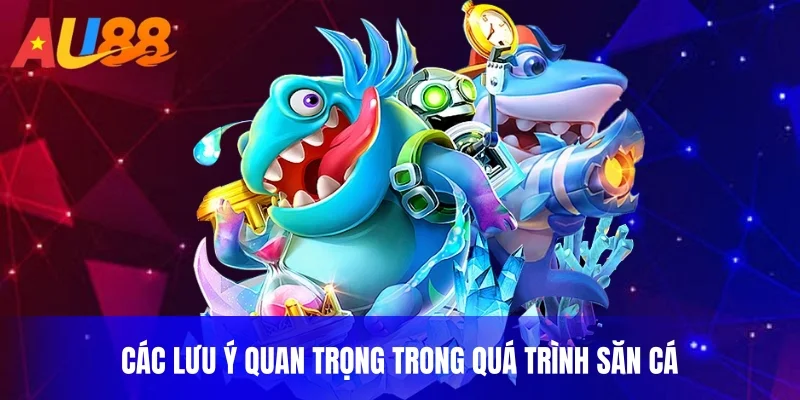 Các lưu ý quan trọng trong quá trình săn cá
